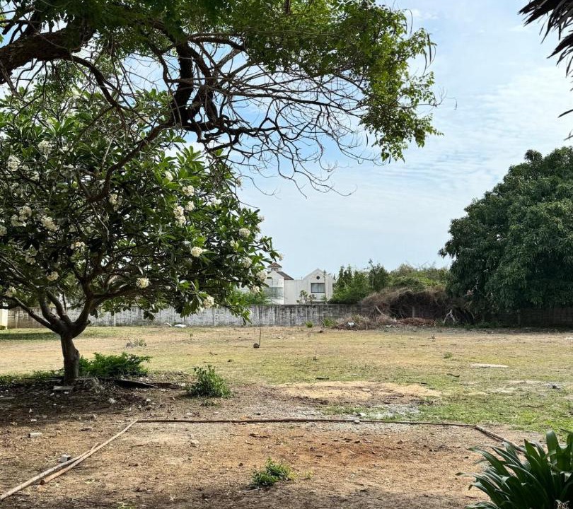 Photo of Others in Bang Kao