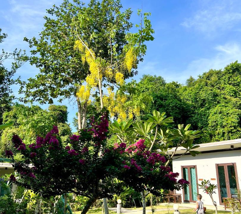 Photo of Outdoor in Ko Kood