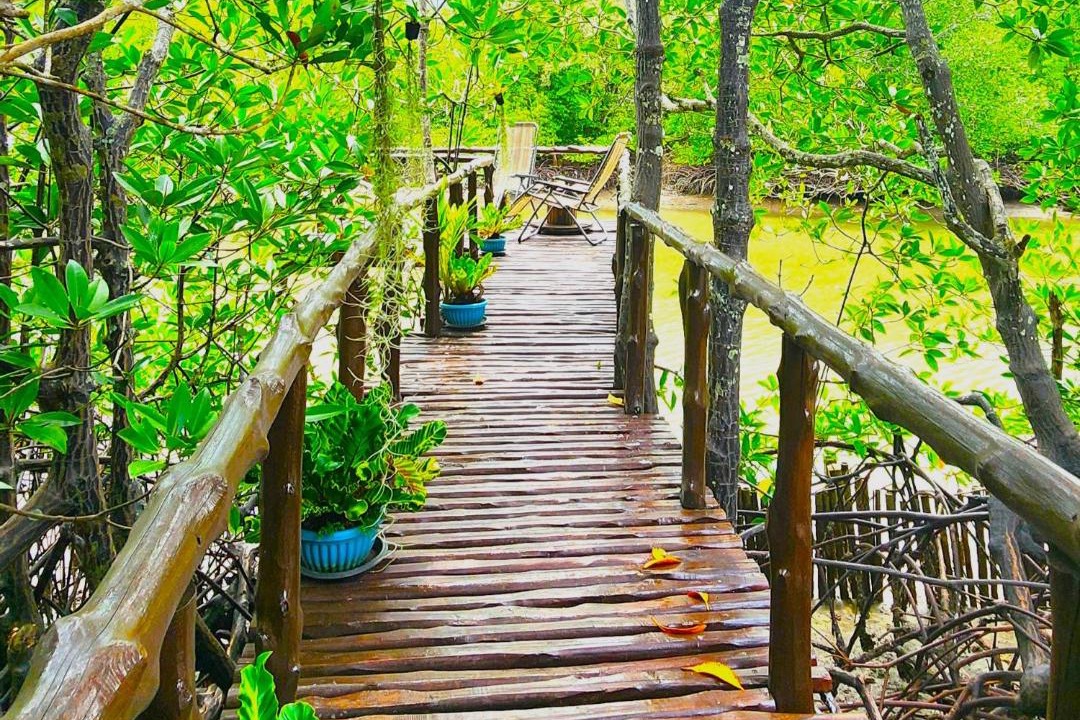 Photo of Others in Phangnga