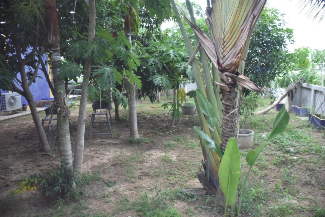Photo of Others in Krasang
