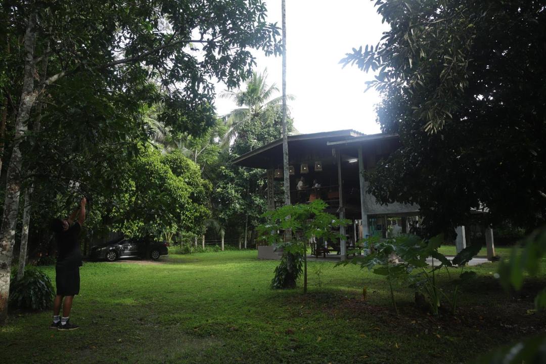 Photo of Others in Chawang