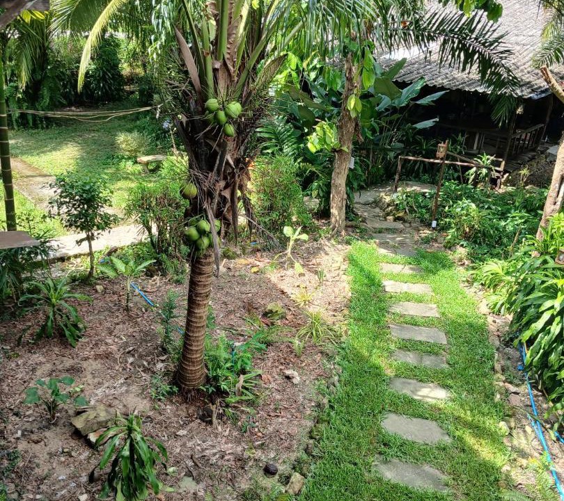 Photo of Others in Ko Kood