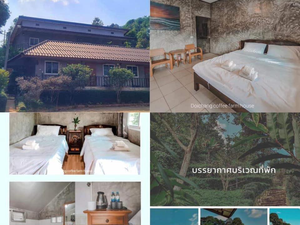 Photo of Others in Chiang Rai Province