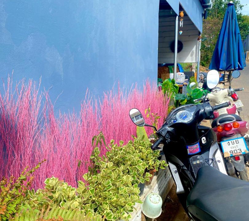 Photo of Outdoor in Koh Lan