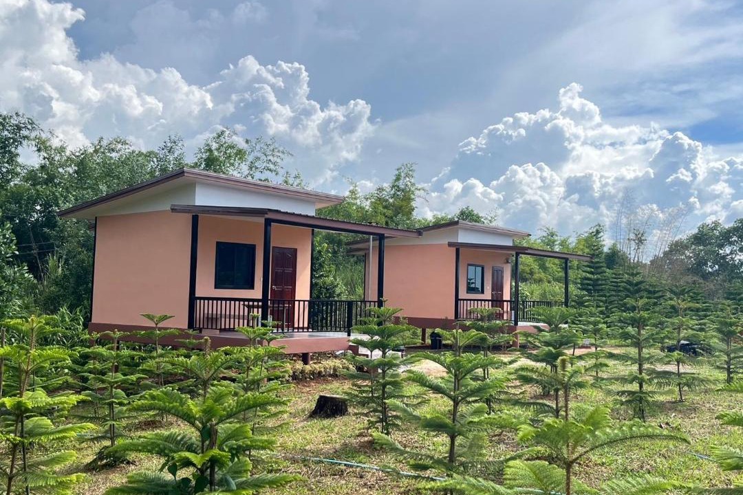 Photo of Others in Khao Kho