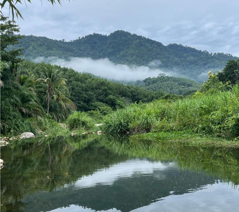 Photo of Others in Ban Na San