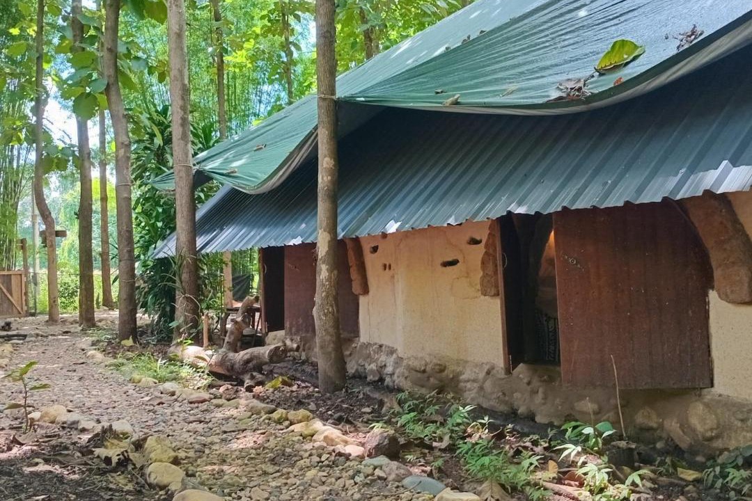 Photo of Others in Pai