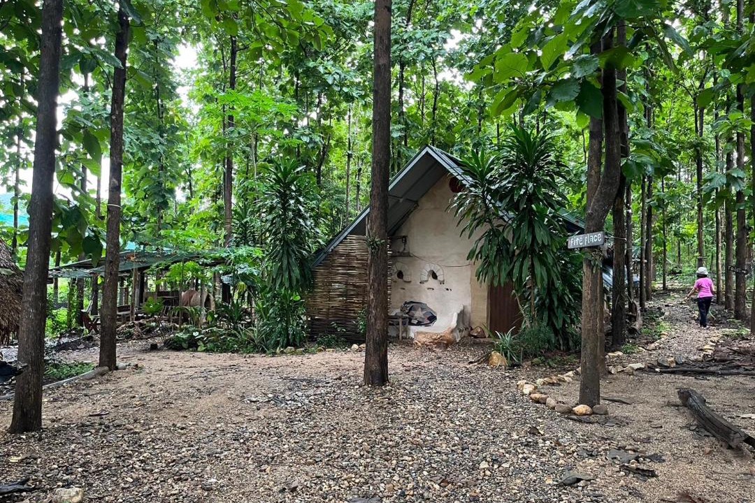Photo of Others in Pai