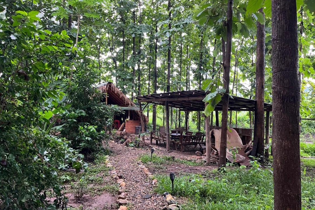 Photo of Others in Pai