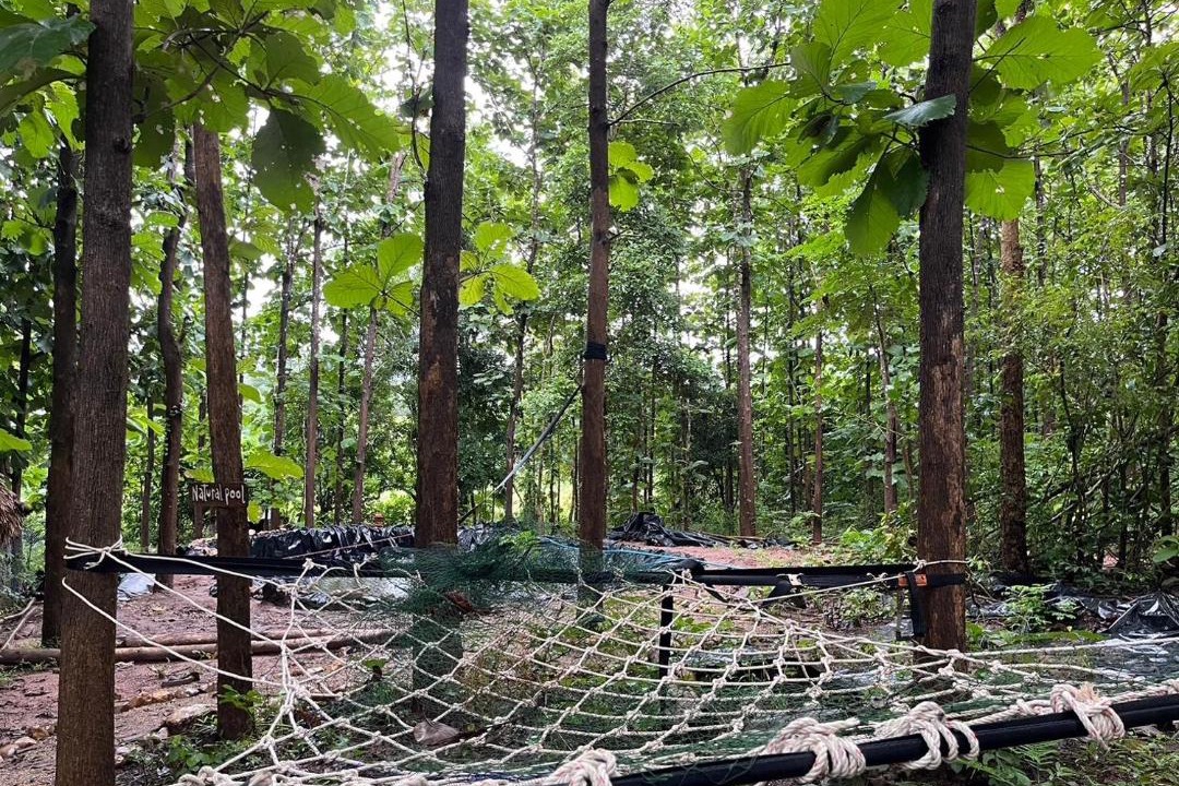 Photo of Outdoor in Pai