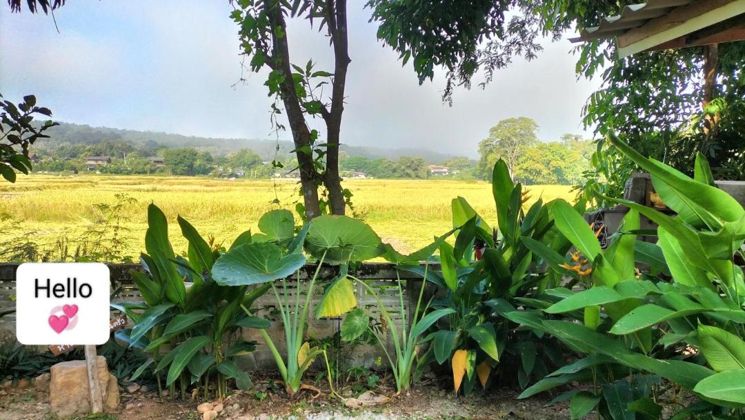 Photo of Others in Mae Tha
