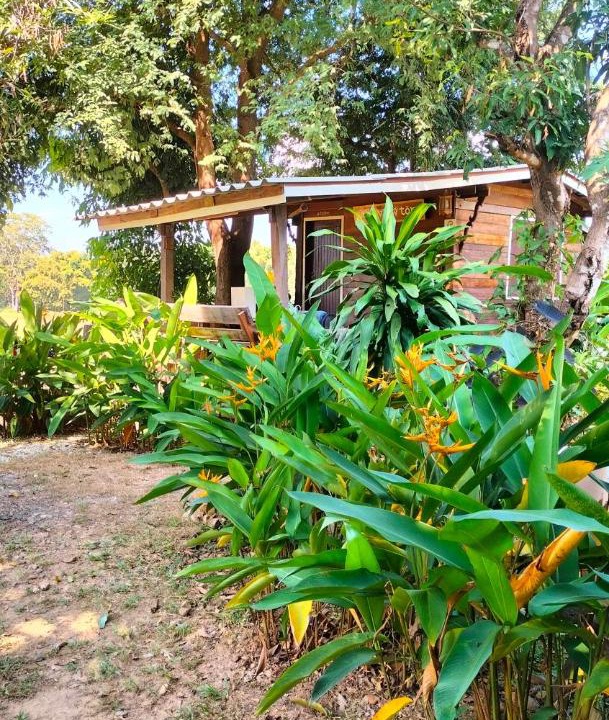Photo of Outdoor in Mae Tha