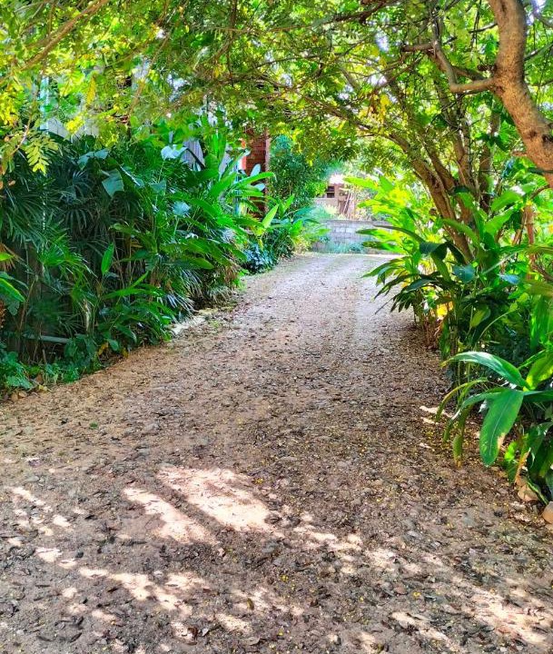 Photo of Outdoor in Mae Tha