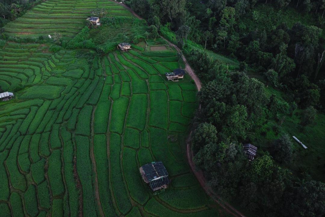 Photo of Others in Samoeng
