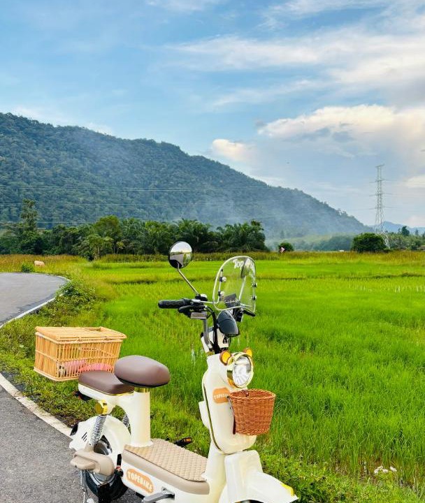 Photo of Others in Satun