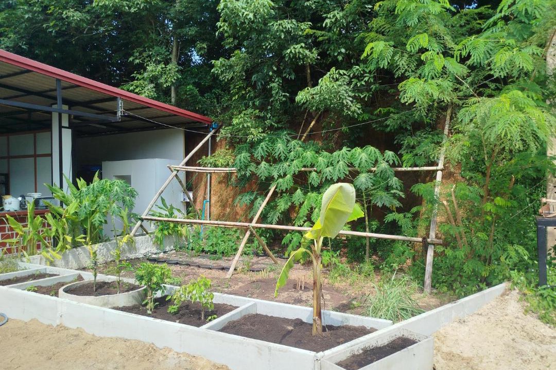 Photo of Others in Phunphin
