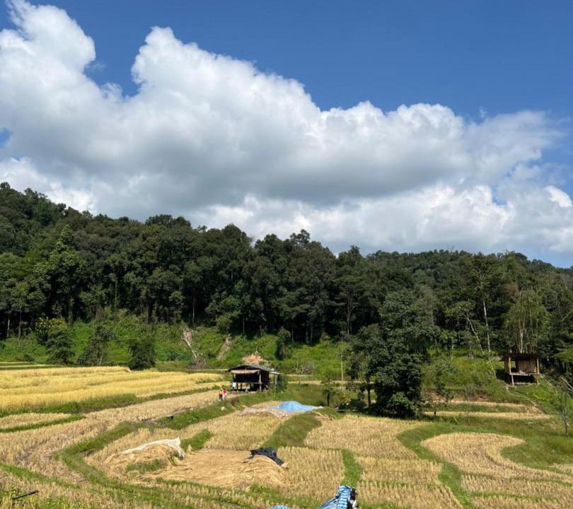 Photo of Others in Samoeng