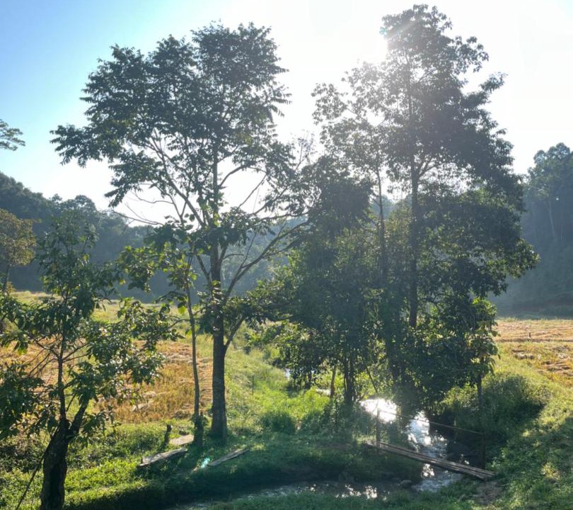 Photo of Others in Samoeng