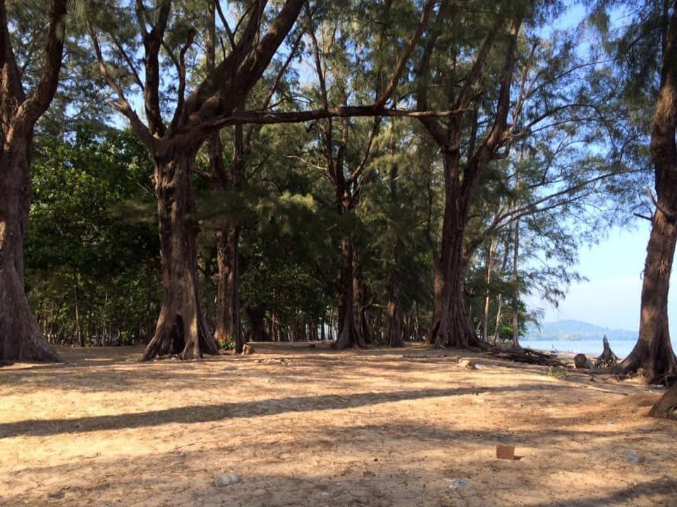 Photo of Others in Mai Khao