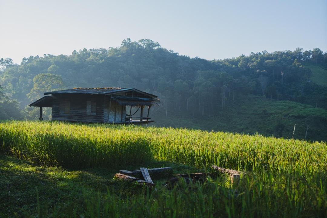 Photo of Others in Samoeng