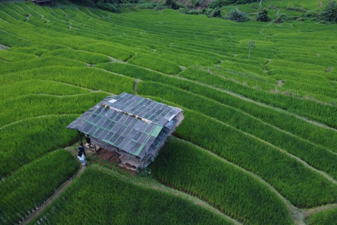 Photo of Others in Samoeng