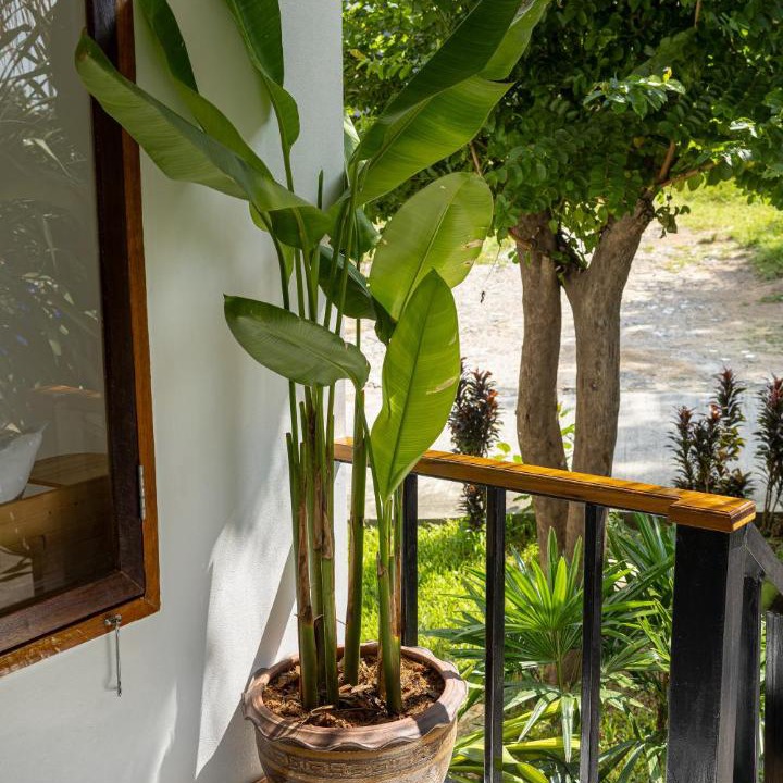 Photo of Others in Baan Tai