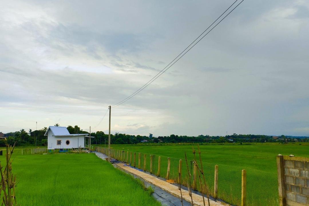 Photo of Others in Wiang Sa