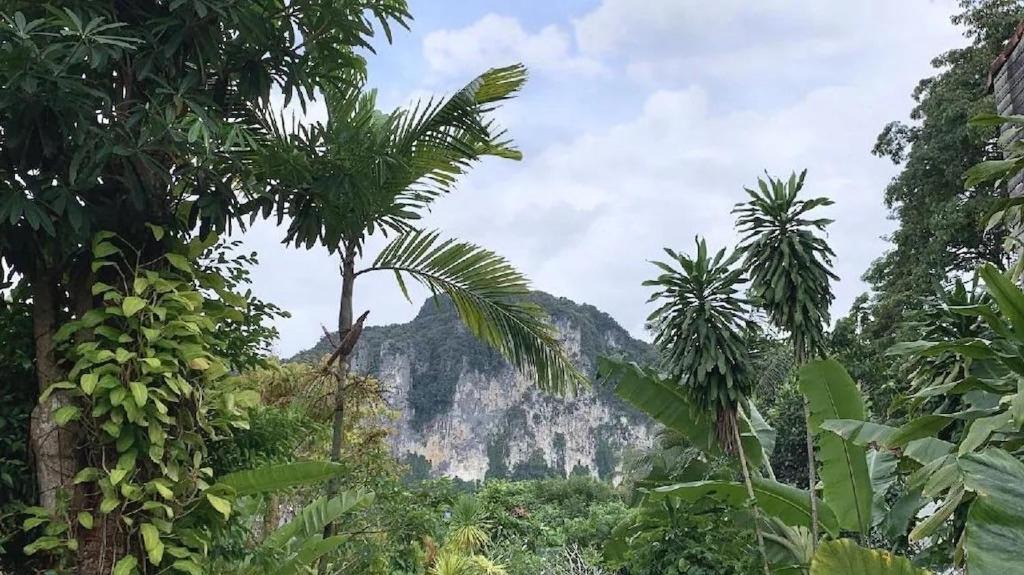 Photo of Others in Ao Nang