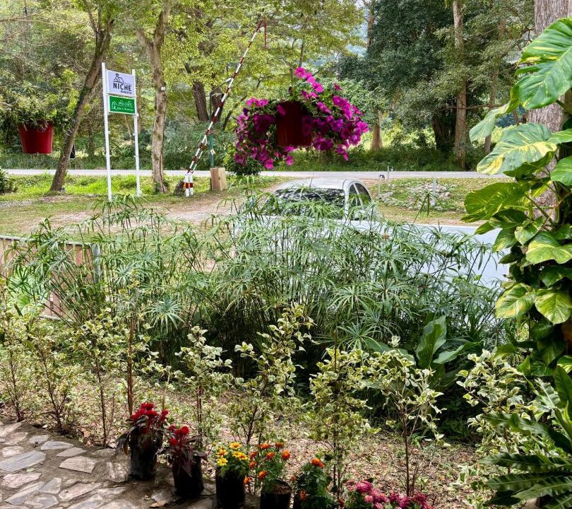 Photo of Outdoor in Mu Si