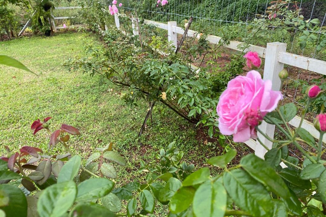 Photo of Outdoor in Thong Pha Phum