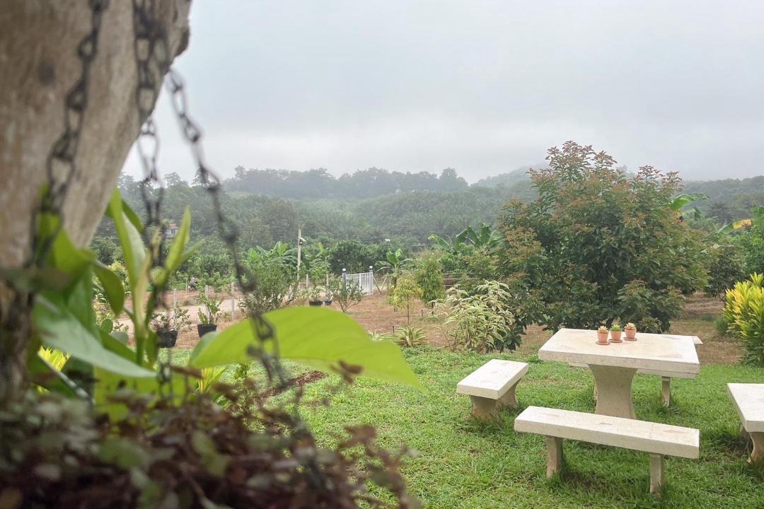 Photo of Others in Thong Pha Phum