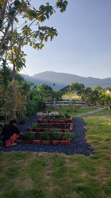 Photo of Outdoor in Nakhon Nayok