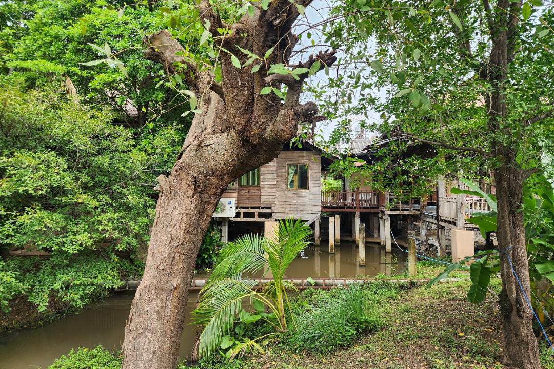 Photo of Others in Phitsanulok