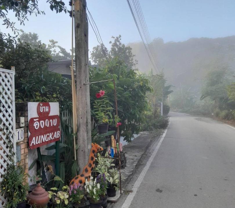 Photo of Outdoor in San Sai