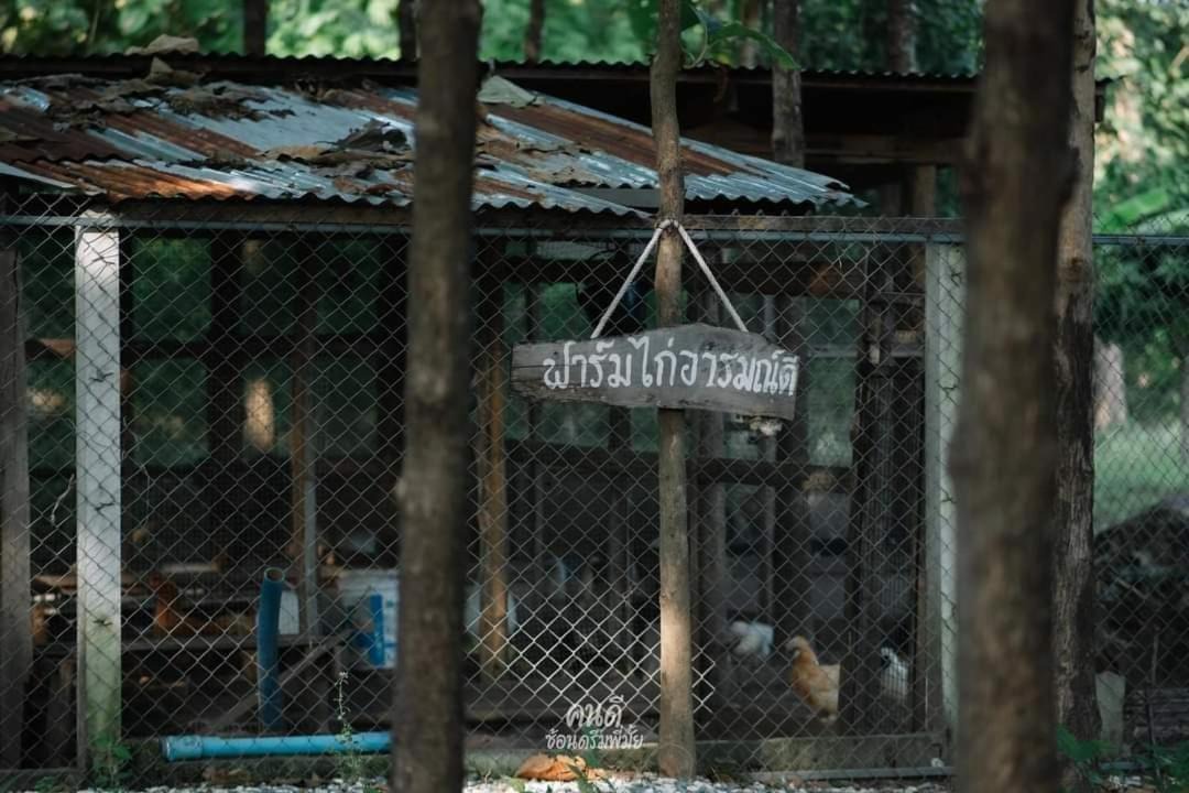 Photo of Others in Nam Pat