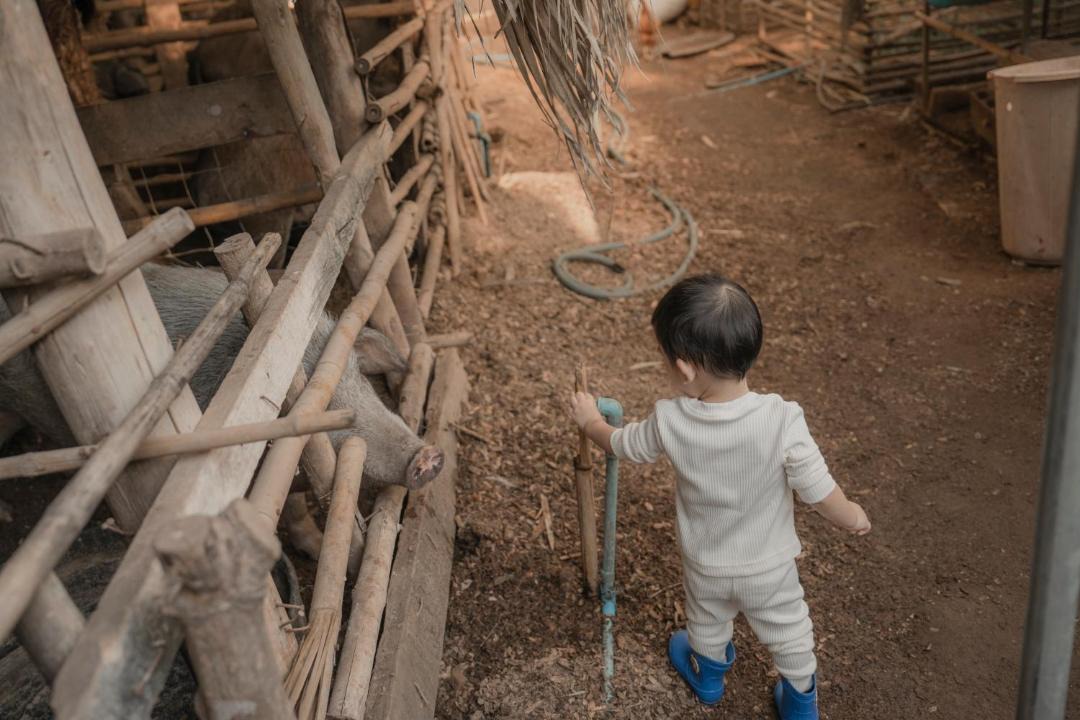 Photo of Human In Picture in Chong Kham