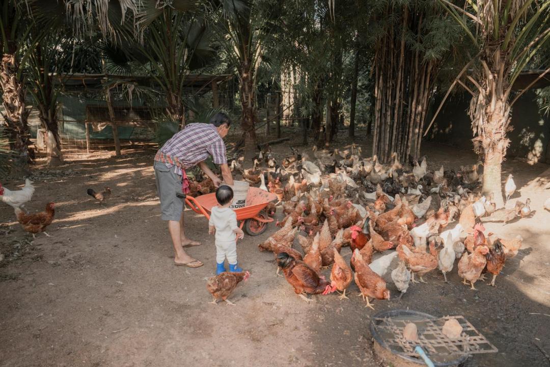 Photo of Others in Chong Kham