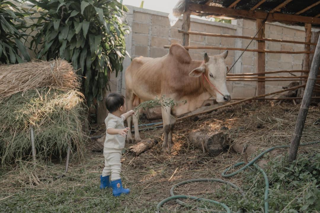 Photo of Others in Chong Kham