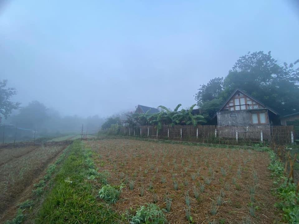 Photo of Others in Pua
