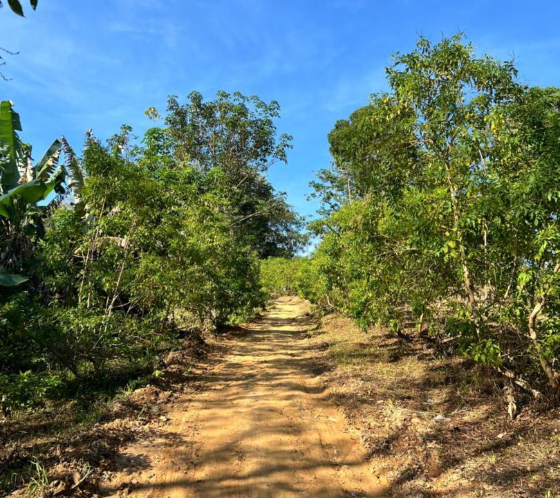 Photo of Others in Ranong