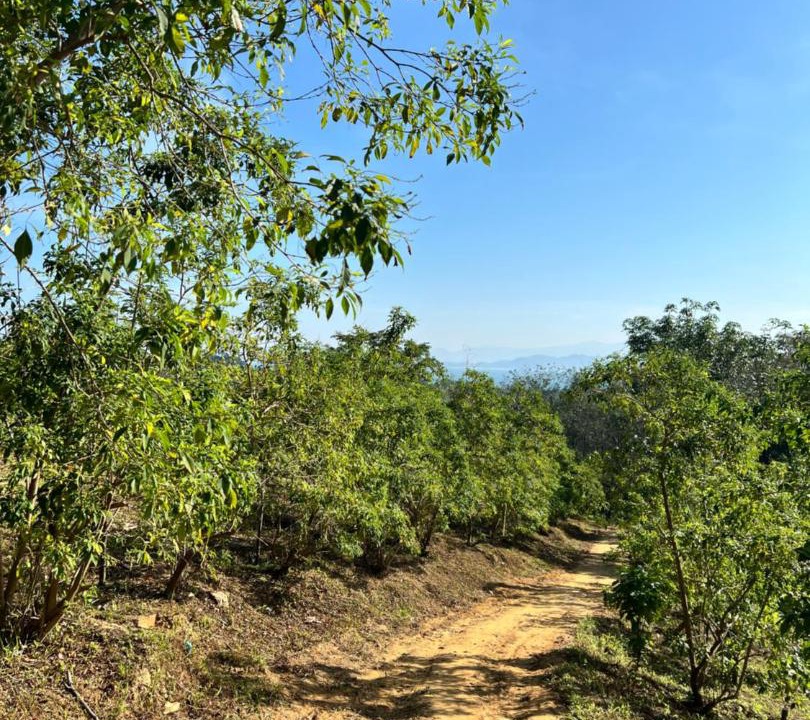 Photo of Outdoor in Ranong