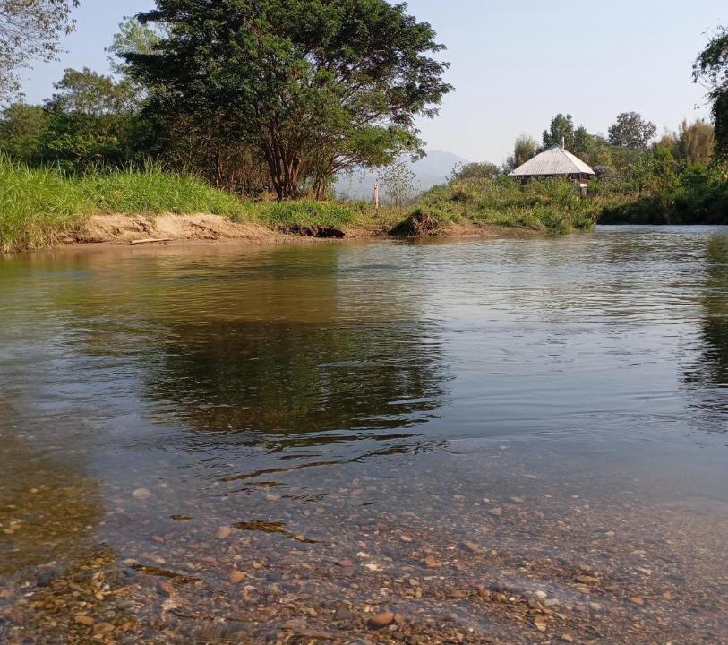 Photo of Others in Pai
