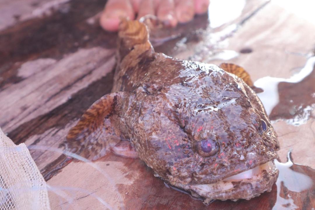Photo of Others in Chumphon