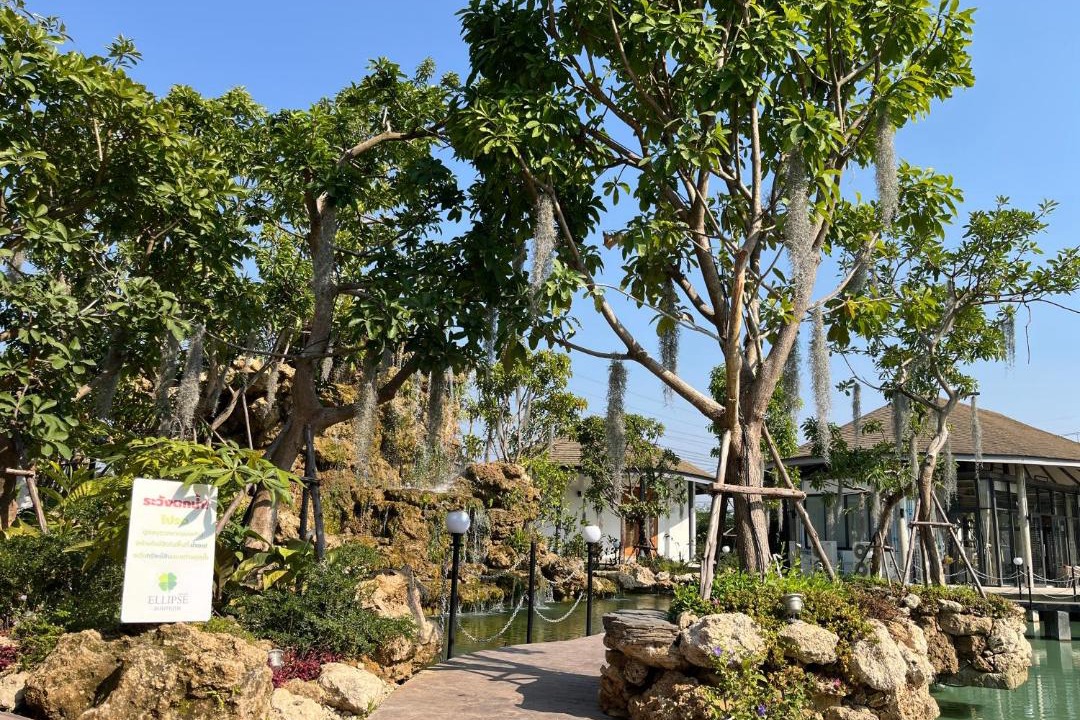 Photo of Outdoor in Phayao