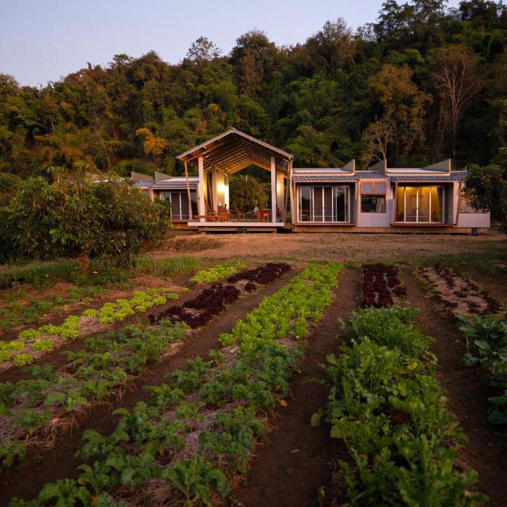 Photo of Others in Chiang Dao