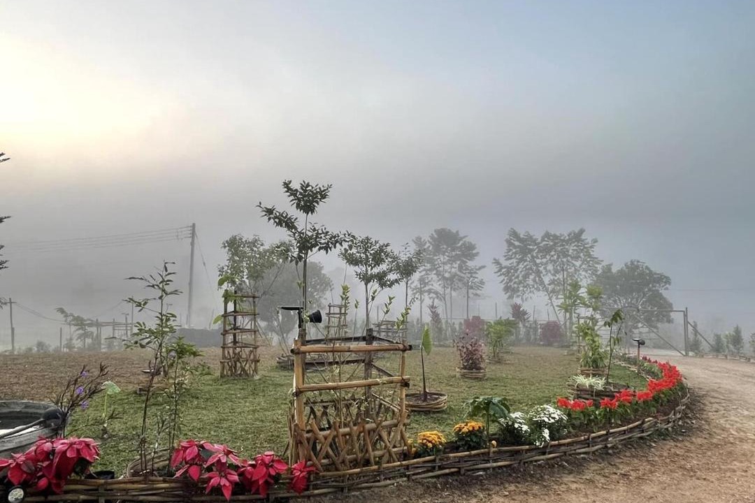 Photo of Others in Chiang Rai
