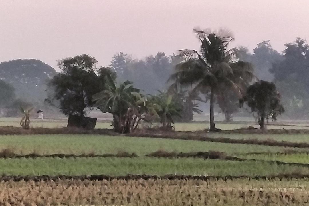Photo of Others in Mueang Nga