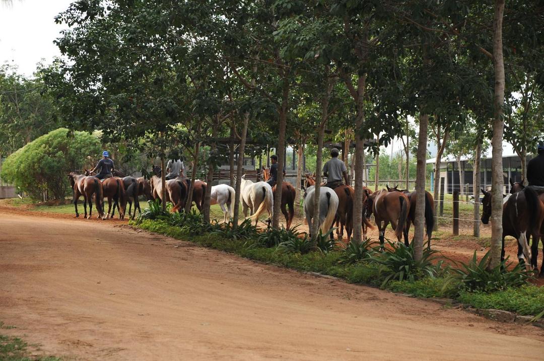 Photo of Others in Na Chom Thian