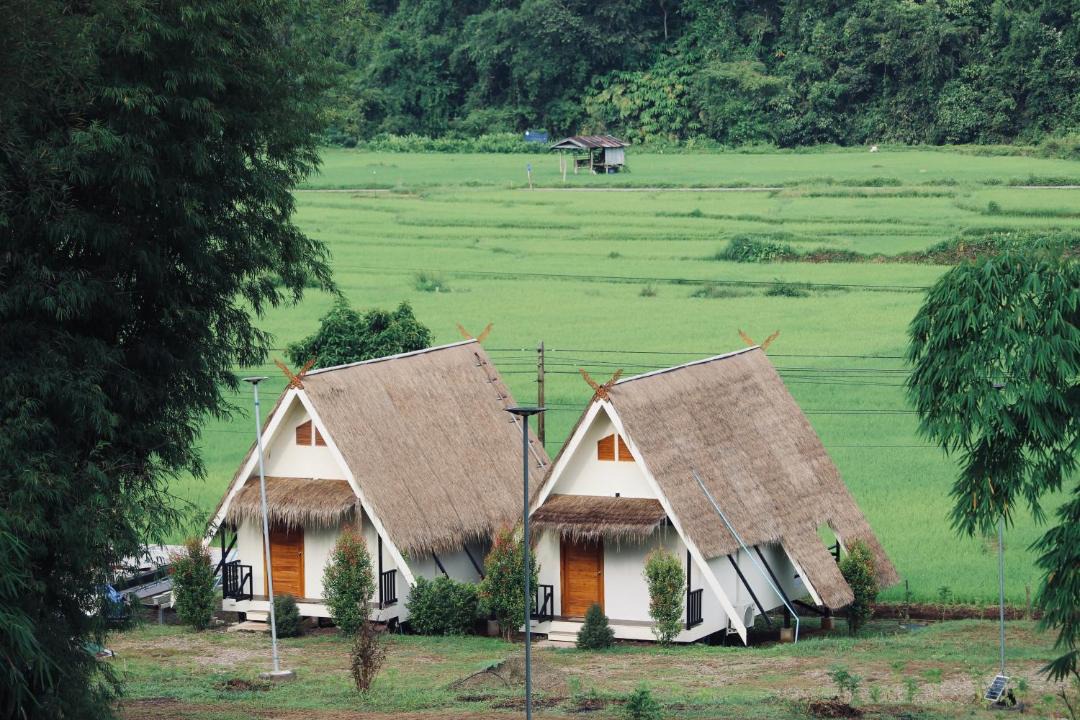 Photo of Others in Bo Kluea
