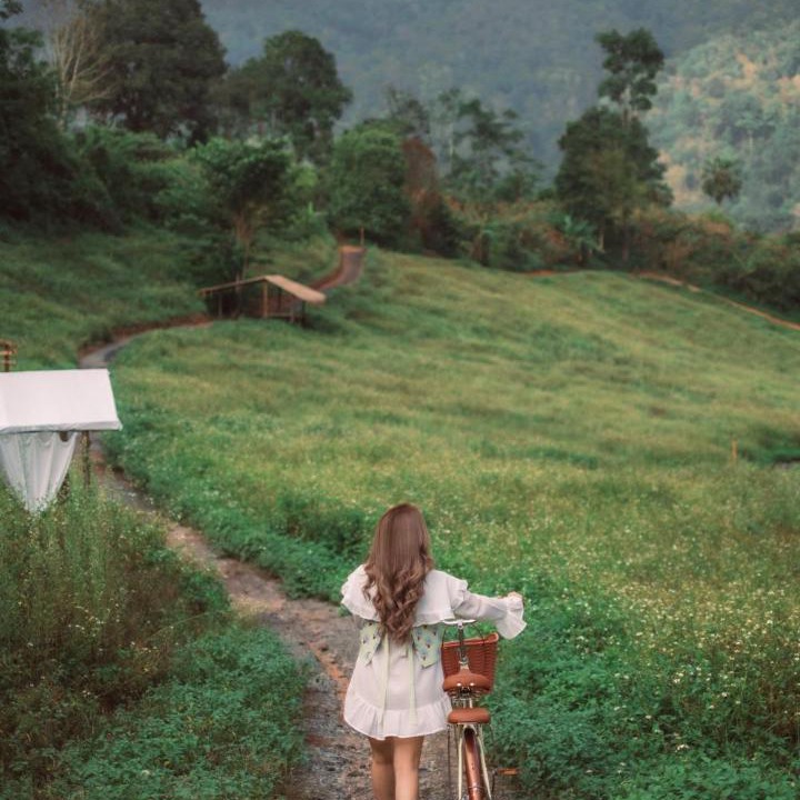 Photo of Others in Mae Taeng